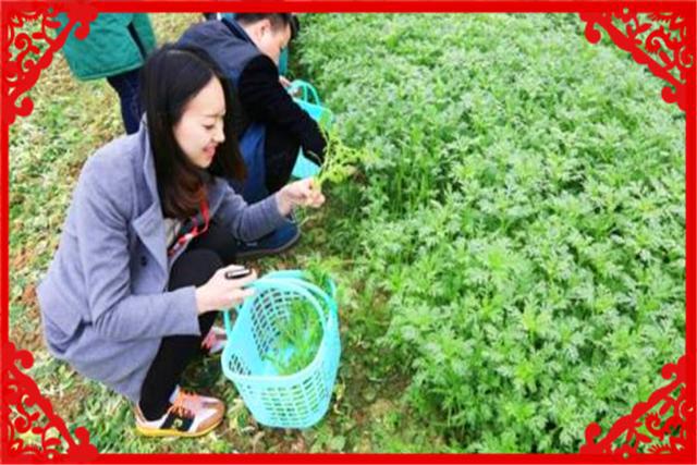 双赢彩票自产自销农村有哪些这样的创业项目？推荐几个供参考(图2)