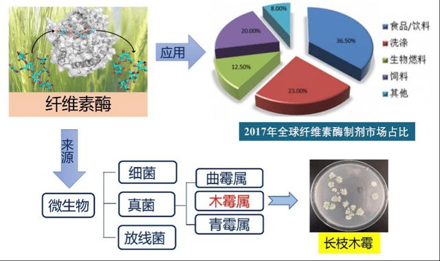 双赢彩票为何看似不起眼的废纸可以让汽车跑起来？本文告诉你废纸的新用途(图5)